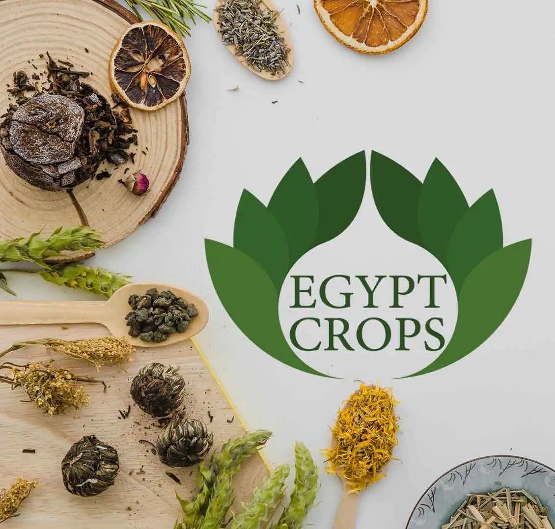 Egypt-herbs-varieties