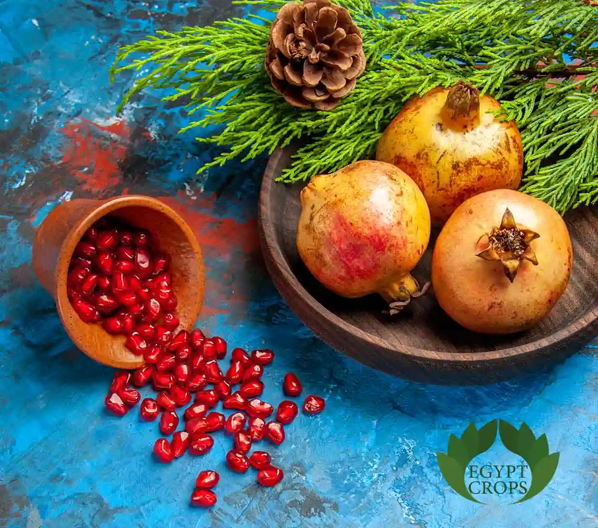 Egyptian-pomegranate-varieties