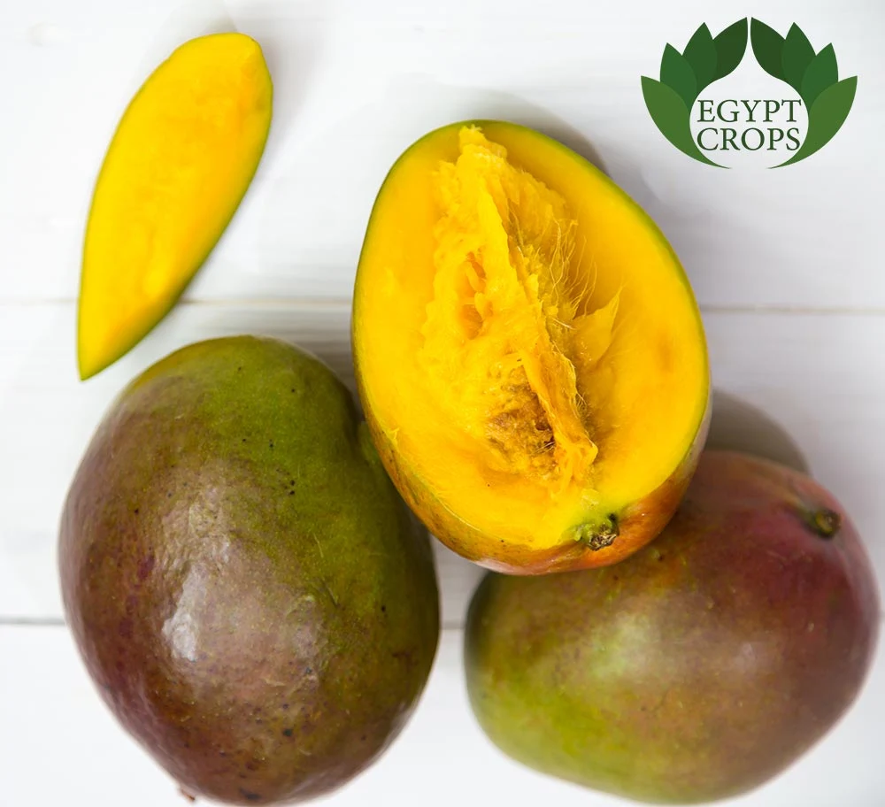 Egyptian Mango Varieties: A Guide to the Sweet Mangoes