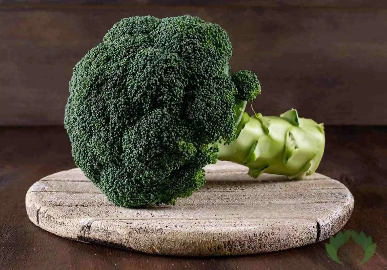 Egyptian-fresh-broccoli