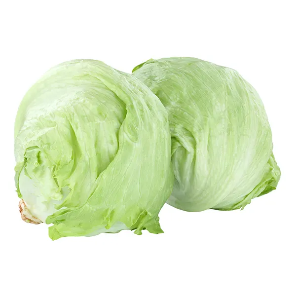 crisphead lettuce