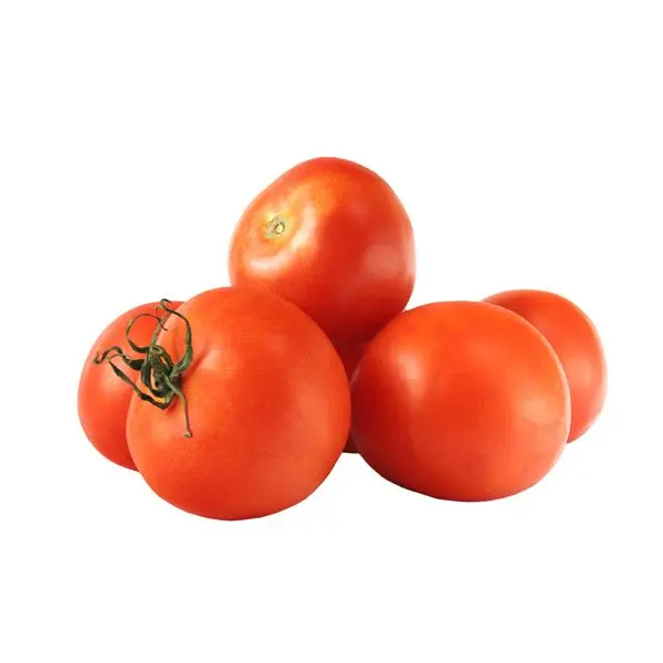 Egyptian Fresh Tomato