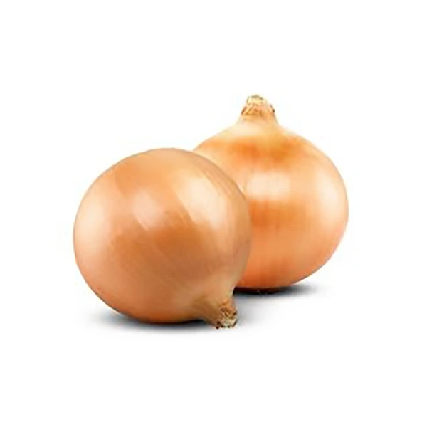 Golden Onion