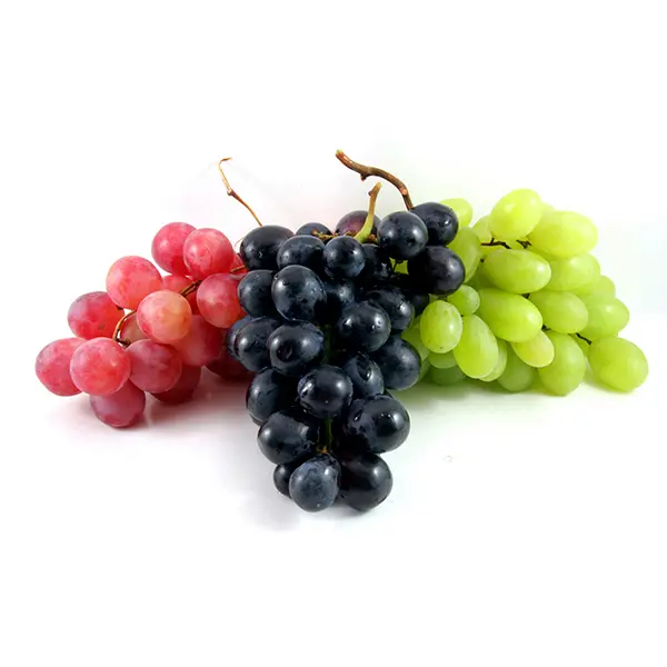 Egyptian-fresh-grapes