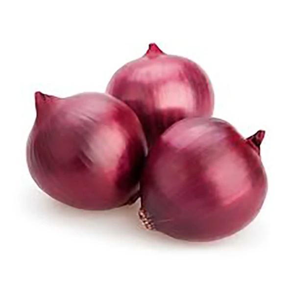 Egyptian Fresh red onion