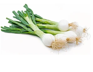 Green-Spring-onions
