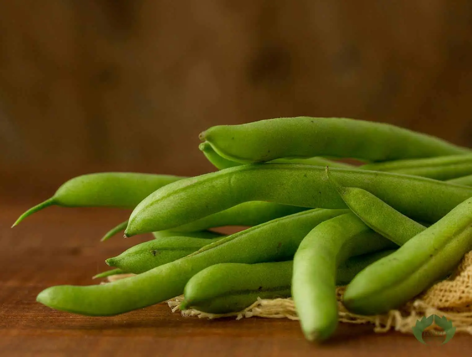 Egyptian-Green-Beans