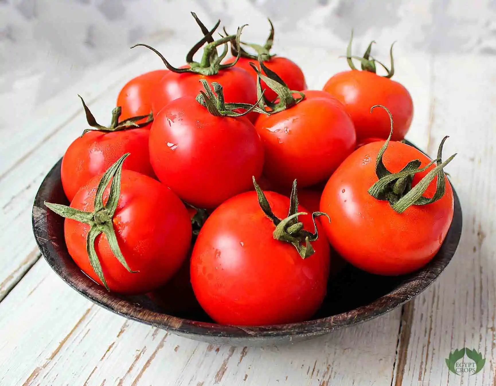 Egyptian-fresh-tomatoes