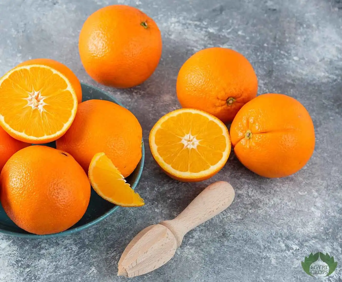 Valencia-juicy-orange