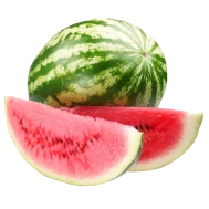 Egyptian-water-melon
