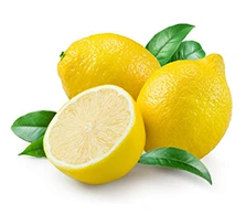 Egyptian-yellow-Adalia-lemon